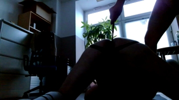 gayslave4youxxx  16-09-2021 Recorded Video Cam